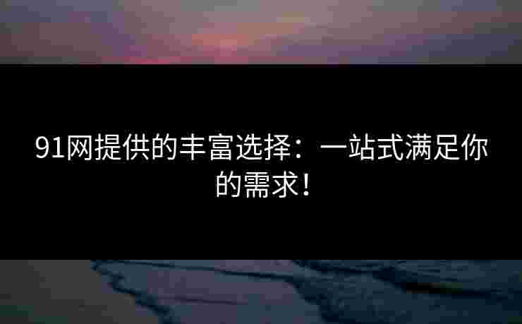 91网提供的丰富选择:一站式满足你的需求!